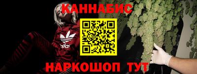 мдпв Камень-на-Оби