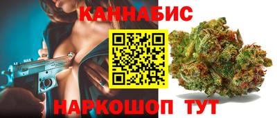 мдпв Камень-на-Оби