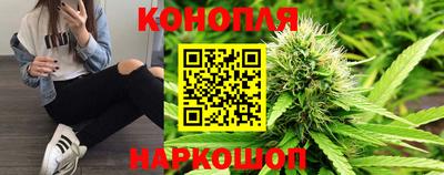 мдпв Камень-на-Оби