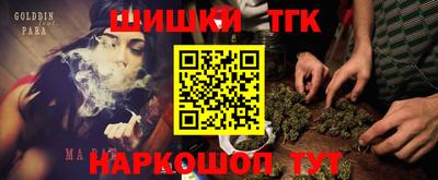 мдпв Камень-на-Оби