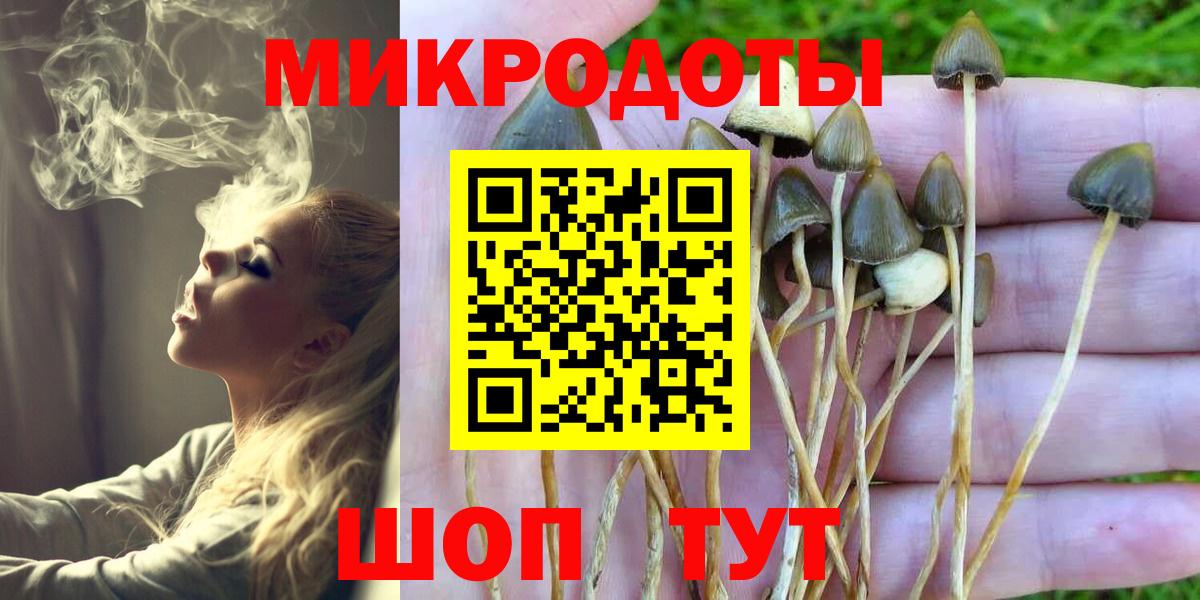 ГАШИШ Михайловск