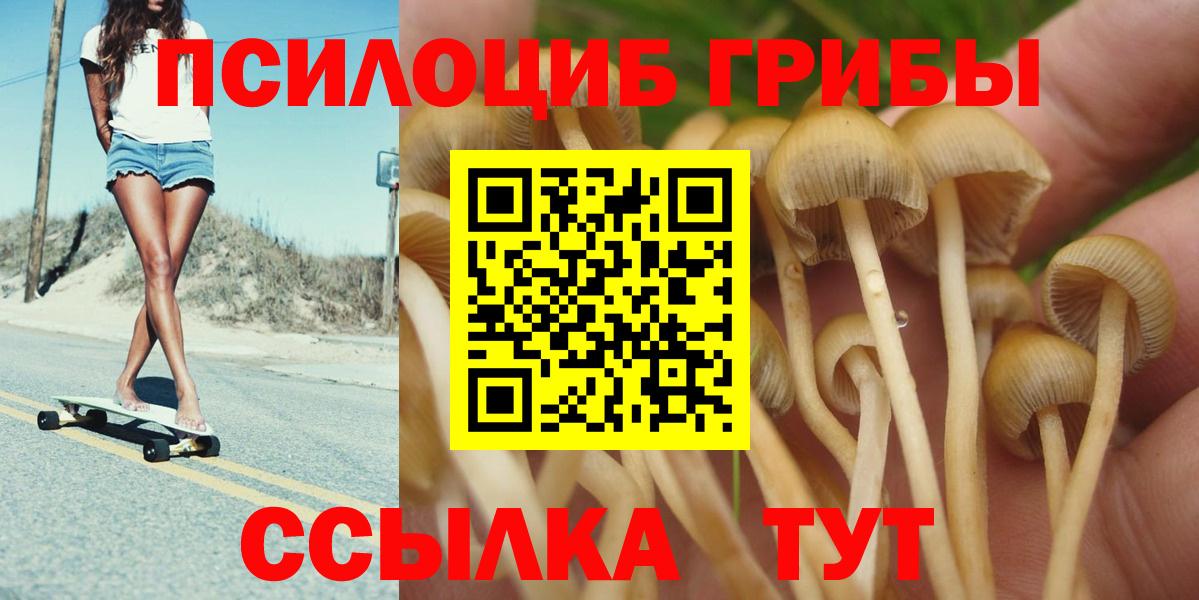 Галлюциногенные грибы MAGIC MUSHROOMS  Вход с VPN  Михайловск 